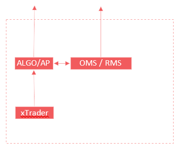 algo trading solution